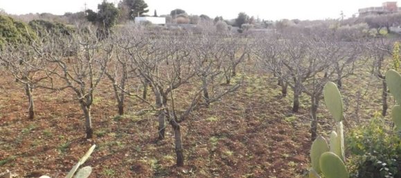 Terreno em Putignano, Italy 3154 m² N.º 355794 6