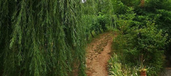Casa de 3 dormitorios en San Giovanni Valdarno, Italy No. 350454 10