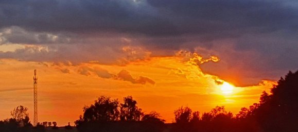 Дом с 5 комнатами в Gustrow, Германия № 236841 4