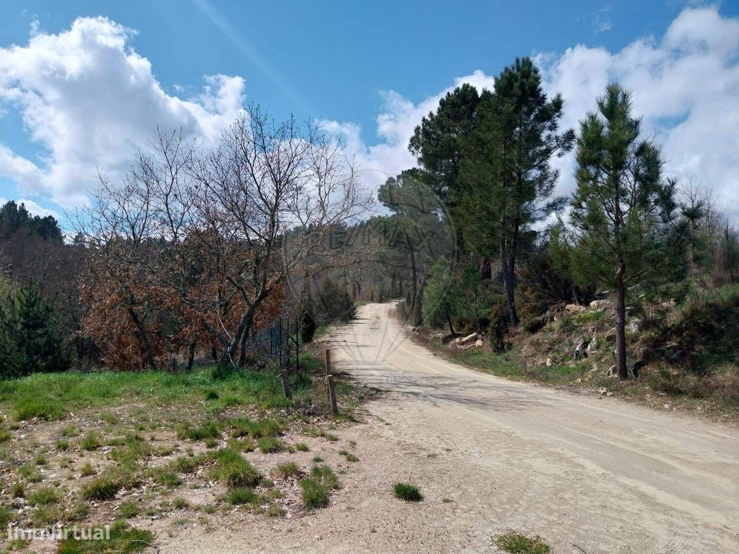 13762m² Land in Meda, Portugal No. 278430