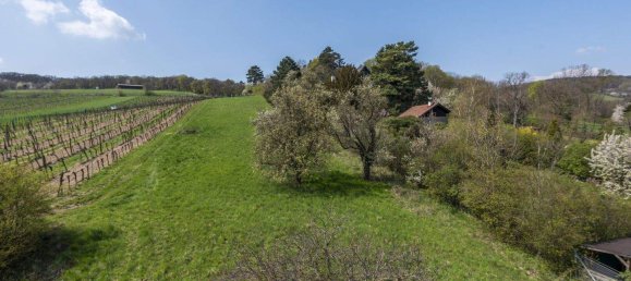 Land in Klosterneuburg, Austria No. 153938 4