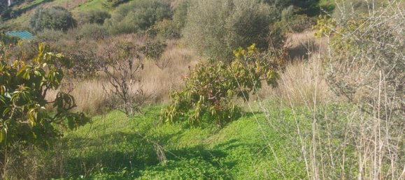 2 Schlafzimmer Haus in Estepona, Spain, Nr. 123493 18