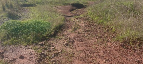 2 Schlafzimmer Haus in Estepona, Spain, Nr. 123493 12