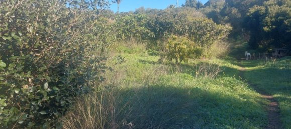 2 Schlafzimmer Haus in Estepona, Spain, Nr. 123493 11