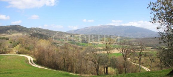 29 bedrooms Hotel in Corciano, Italy No. 317129 15