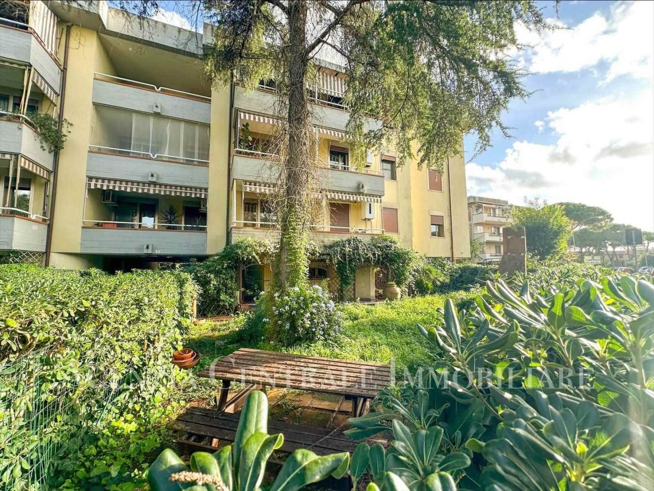 6 rooms Apartment in Grosseto, Italy No. 214729