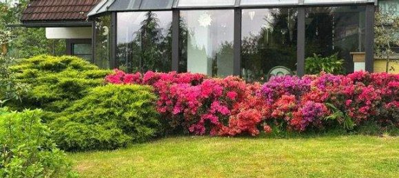 7 rooms House in Wies, Austria No. 178644 3