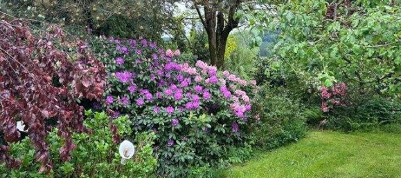 7 rooms House in Wies, Austria No. 178644 4