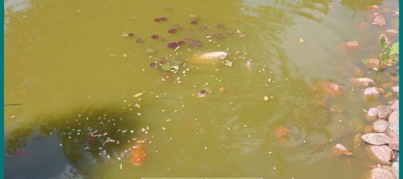 2 chambres Bungalow à Cuxhaven, Germany No. 125997 37