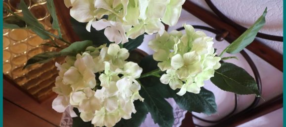 2 chambres Bungalow à Cuxhaven, Germany No. 125997 5