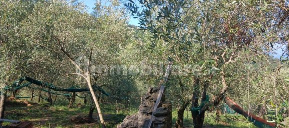 Terrain à Moneglia, Italy 500m² No. 260073 8