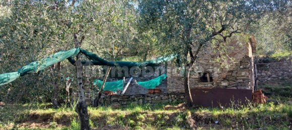 Terrain à Moneglia, Italy 500m² No. 260073 3