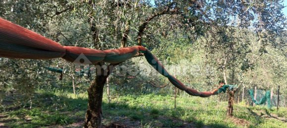 Terrain à Moneglia, Italy 500m² No. 260073 4