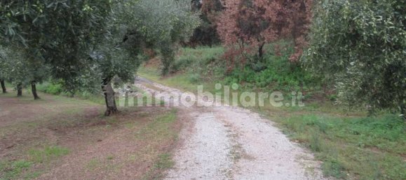 19290m² Land in Lamezia Terme, Italy No. 15376 5