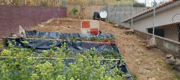 4 Schlafzimmer Haus in Ponta do Sol, Portugal, Nr. 143464 17