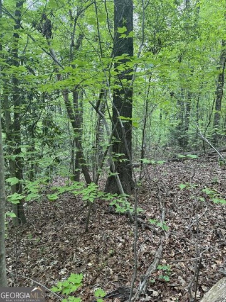 Grundstück in Flintstone, USA, Nr. 541196