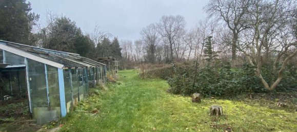 13-Zimmer Stadthaus in Leipzig, Germany, Nr. 227226 7