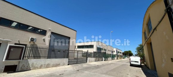 1-Zimmer Lagerhaus in San Severo, Italy, Nr. 292571 3