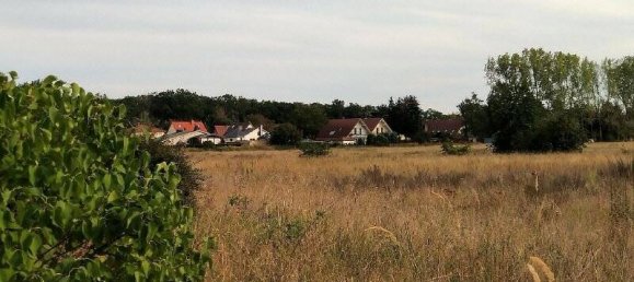 1 Schlafzimmer Wohnung in Teltow-Fläming, Germany, Nr. 51419 8