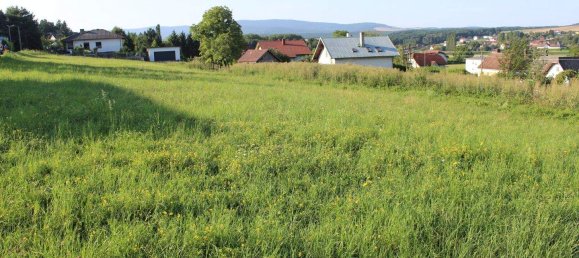 Terrain à Pilgersdorf, Austria No. 242999 2