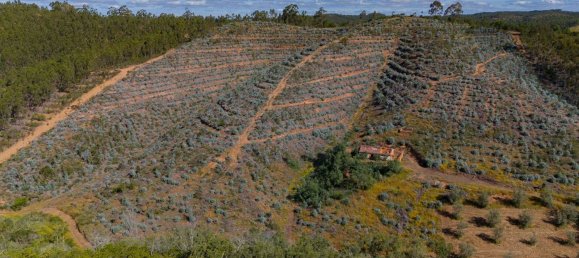 Grundstück in Reliquias, Portugal 158000m², Nr. 41962 4