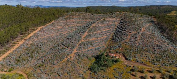 Grundstück in Reliquias, Portugal 158000m², Nr. 41962 26