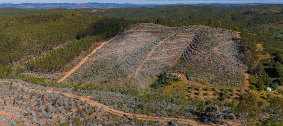 Grundstück in Reliquias, Portugal 158000m², Nr. 41962 24