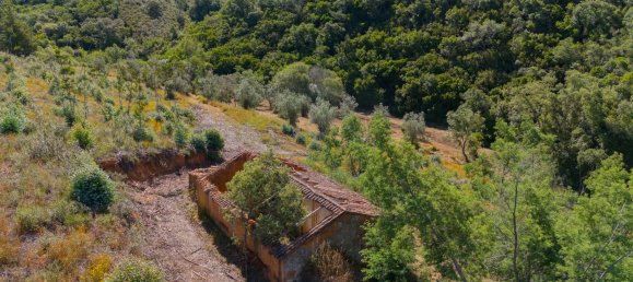 Grundstück in Reliquias, Portugal 158000m², Nr. 41962 12