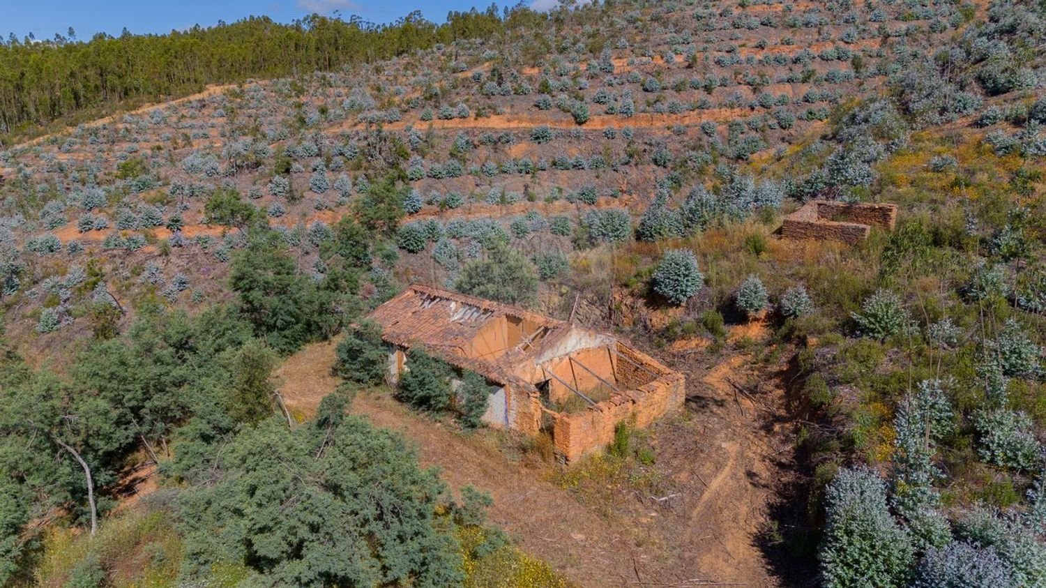 Grundstück in Reliquias, Portugal 158000m², Nr. 41962