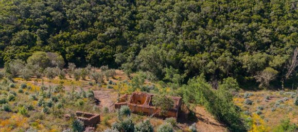 Grundstück in Reliquias, Portugal 158000m², Nr. 41962 13