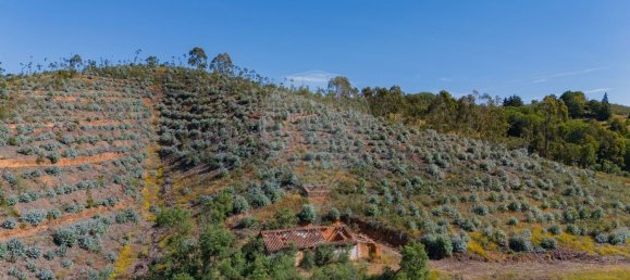 Grundstück in Reliquias, Portugal 158000m², Nr. 41962 28