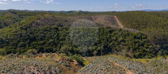 Grundstück in Reliquias, Portugal 158000m², Nr. 41962 31
