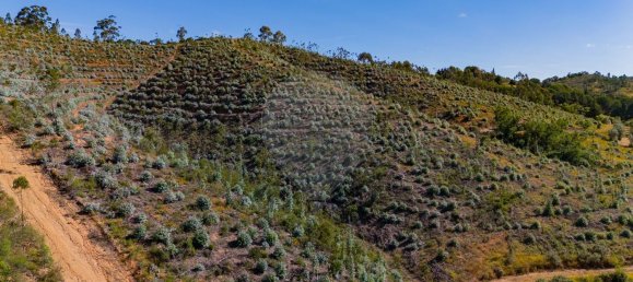 Grundstück in Reliquias, Portugal 158000m², Nr. 41962 18