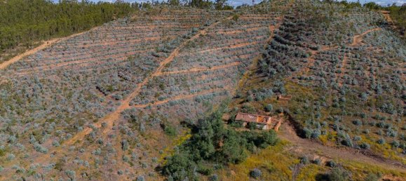 Grundstück in Reliquias, Portugal 158000m², Nr. 41962 27