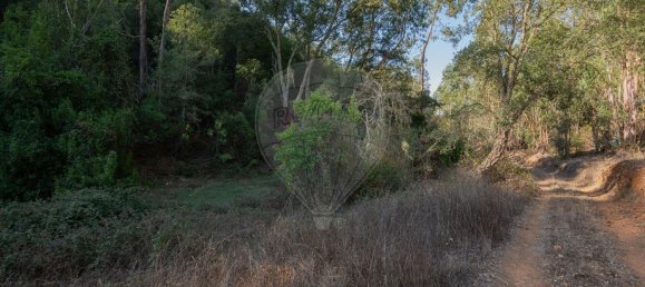 Grundstück in Reliquias, Portugal 158000m², Nr. 41962 16