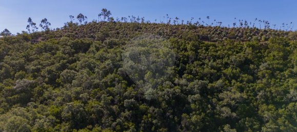 Grundstück in Reliquias, Portugal 158000m², Nr. 41962 29