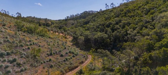 Grundstück in Reliquias, Portugal 158000m², Nr. 41962 37