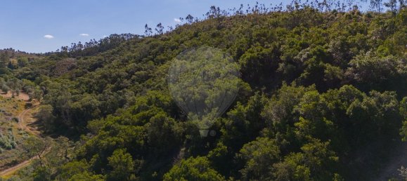 Grundstück in Reliquias, Portugal 158000m², Nr. 41962 19