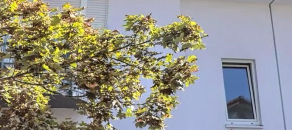 1 غرف نوم شقة في Offenbach, Germany رقم 266896 12