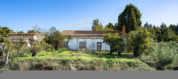 3 chambres Maison à Anadia, Portugal No. 50405 5