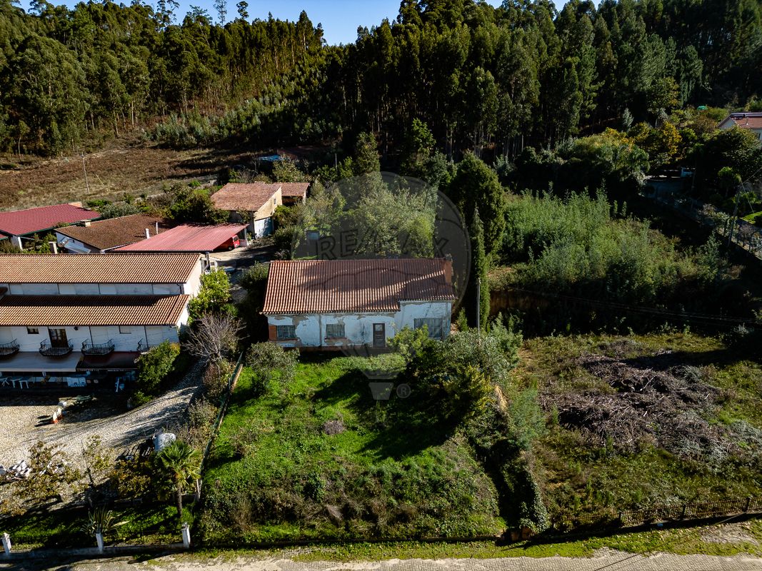 3 chambres Maison à Anadia, Portugal No. 50405