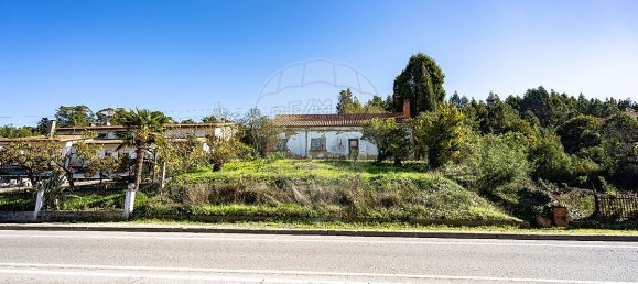 3 chambres Maison à Anadia, Portugal No. 50405 3