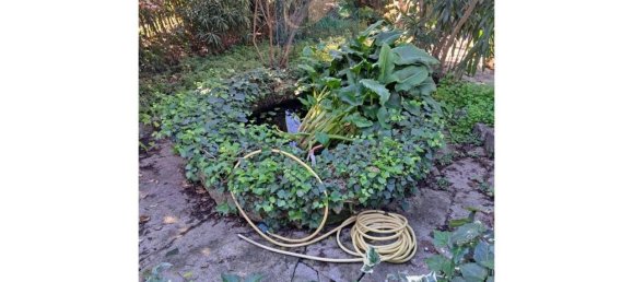 9 rooms Villa in Mentana, Italy No. 30327 8