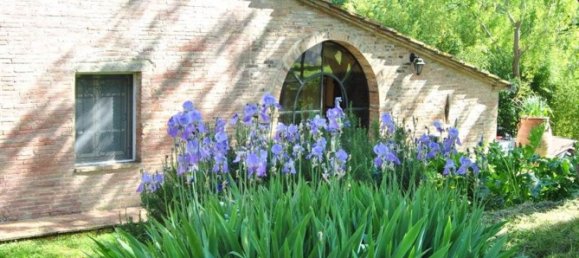 20 rooms Villa in Sinalunga, Italy No. 25711 15