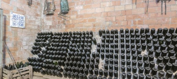 Дом с 10 спальнями в Торрелавит, Испания № 114716 24