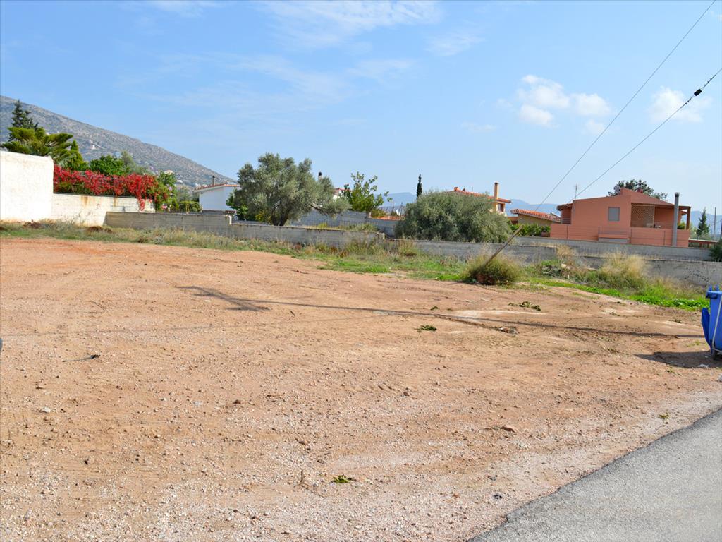 Hotel em Anavyssos, Greece 950 m² N.º 6891