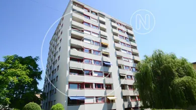 3 rooms Apartment in Salzburg, Austria No. 159667