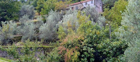 Дом с 1 спальней в Мантейгаш, Португалия № 27739 5