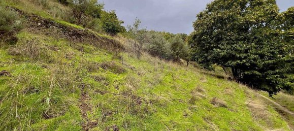 Дом с 1 спальней в Мантейгаш, Португалия № 27739 11