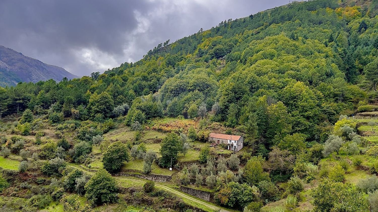 Дом с 1 спальней в Мантейгаш, Португалия № 27739